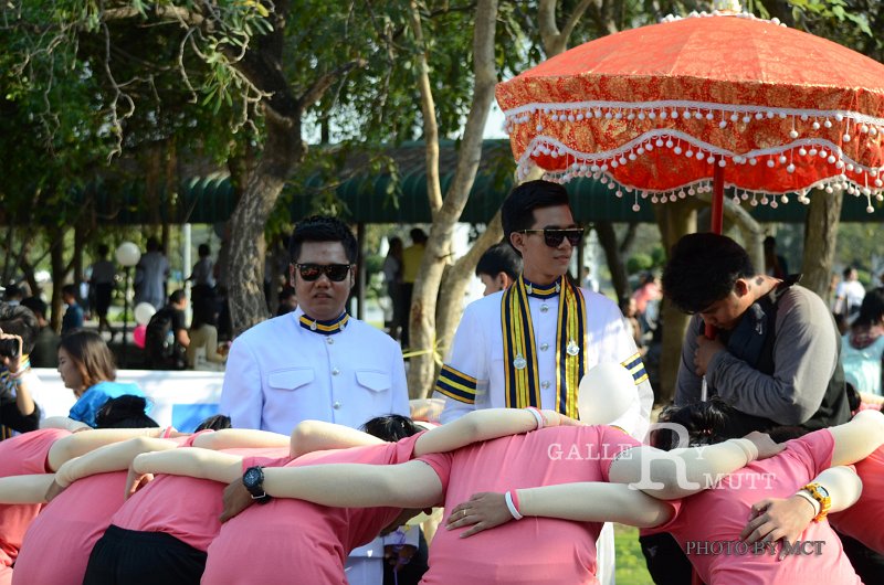 DSC_8307 c.jpg